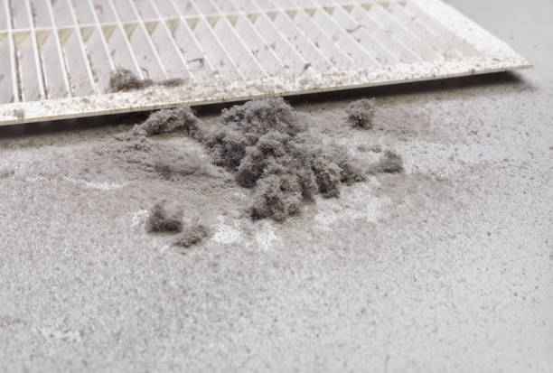 HVAC System Cleaning in IN
