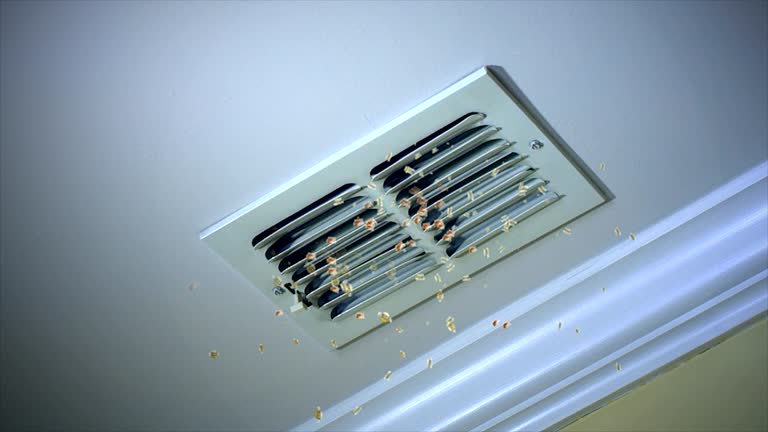 Best Affordable HVAC Duct Cleaning  in Clermont, IN