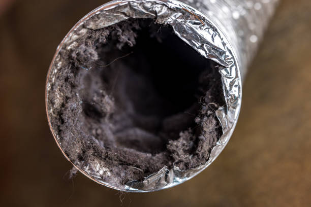 Best Dryer Vent Cleaning Services  in Clermont, IN